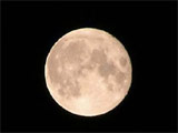 ムーンライト_b0008655_4134175.jpg