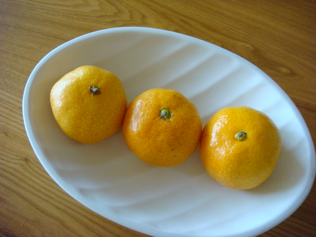 f0036857_22261094.jpg