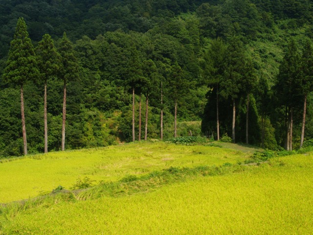 松代の、とある場所_b0069761_22403845.jpg