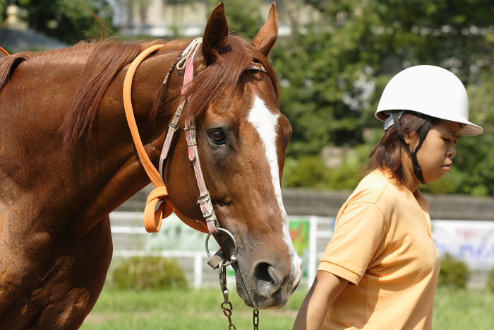 2007年9月23日（日） 高知競馬 5R 幸せ一杯結婚記念特別_a0077663_1833152.jpg