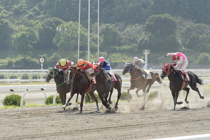 2007年9月23日（日） 高知競馬 5R 幸せ一杯結婚記念特別_a0077663_18341525.jpg