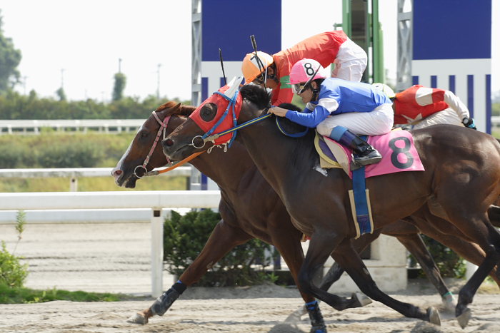 2007年9月23日（日） 高知競馬 5R 幸せ一杯結婚記念特別_a0077663_18344015.jpg
