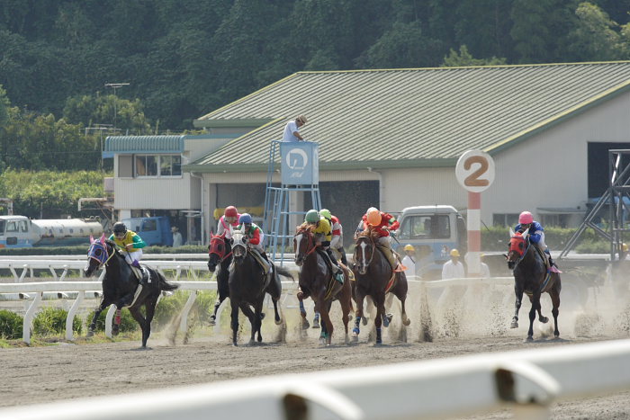 2007年9月23日（日） 高知競馬 5R 幸せ一杯結婚記念特別_a0077663_1834613.jpg