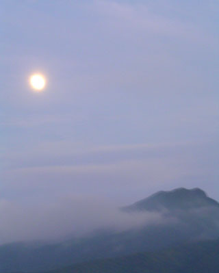 b0070879_7454725.jpg