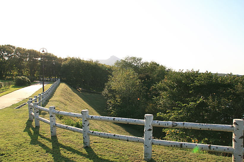 c0112479_19553996.jpg