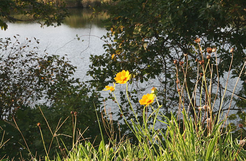 c0112479_1956320.jpg