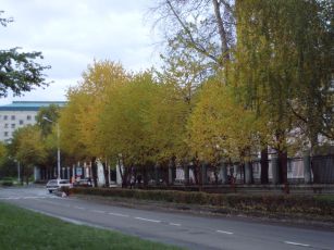 d0021786_10542774.jpg