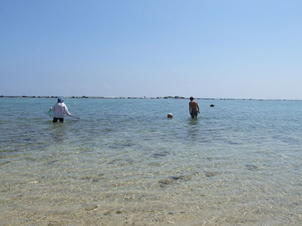 海三昧!_e0028387_23162523.jpg