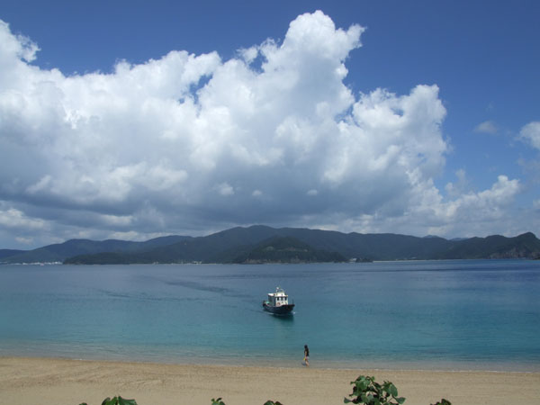 海三昧!_e0028387_2374429.jpg