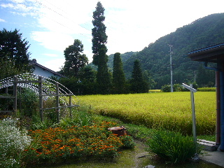 d0015096_12331120.jpg