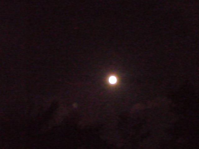 f0052603_23202023.jpg