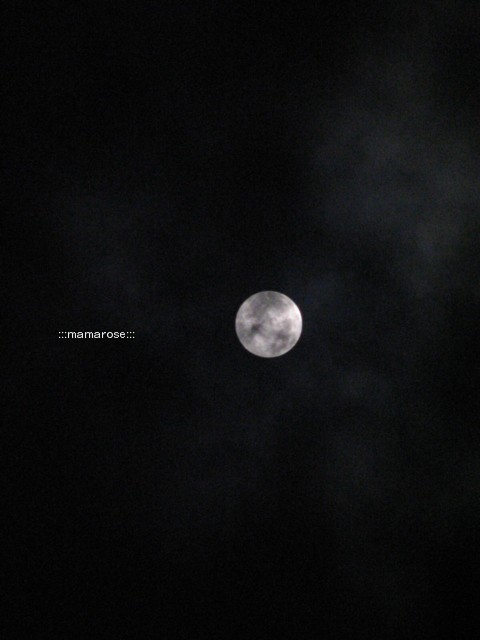 b0118511_1151519.jpg