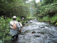 f0079411_20241330.jpg