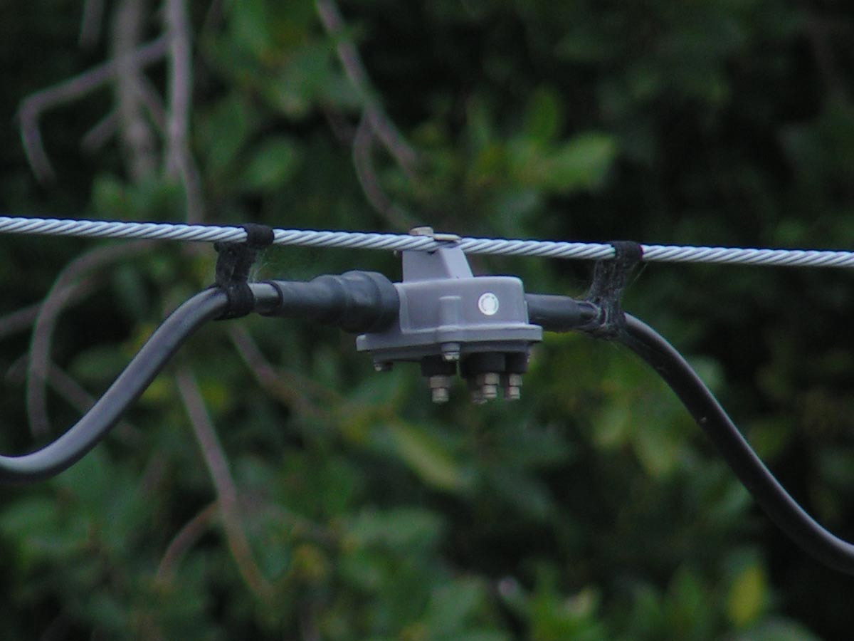 c0001613_641778.jpg