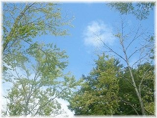 c0066514_11261976.jpg