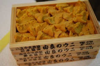 市場へGO!vol2_e0025817_2133499.jpg