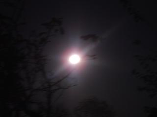 名前は sun moon child_a0104020_1632892.jpg