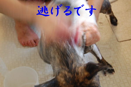 c0130324_04053.jpg