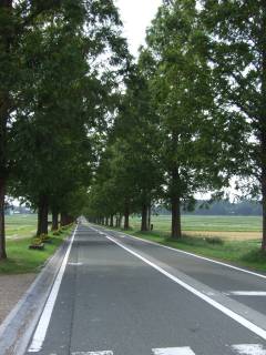 f0135026_2152763.jpg