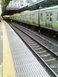 パンゲア_b0072729_6171584.jpg