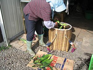 開田高原続編① 秋真っ只中の御嶽山麓_f0076731_1841533.jpg
