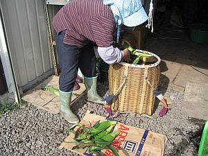 開田高原続編①　秋真っ只中の御嶽山麓_f0076731_1841533.jpg