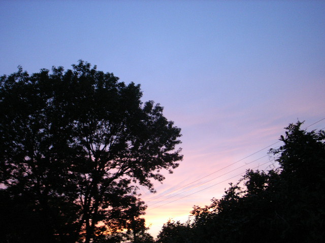 d0105133_227148.jpg