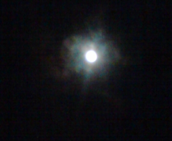 a0013236_01995.jpg