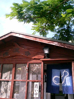 花_a0103940_1722285.jpg