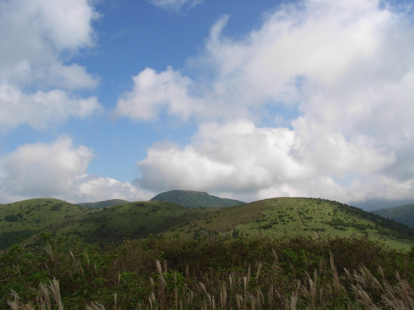 c0047341_25853100.jpg