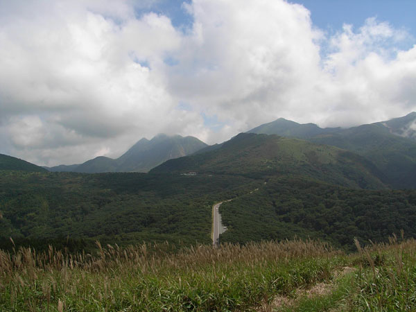 c0047341_2593483.jpg