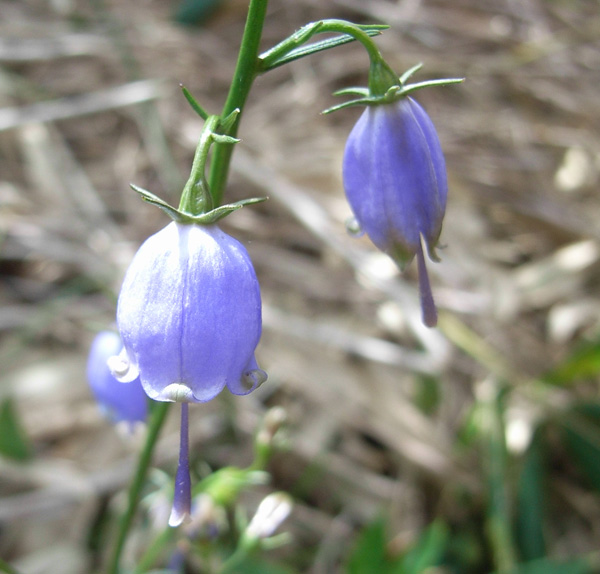 c0047341_2595950.jpg