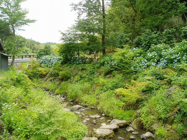 c0107149_1638344.jpg