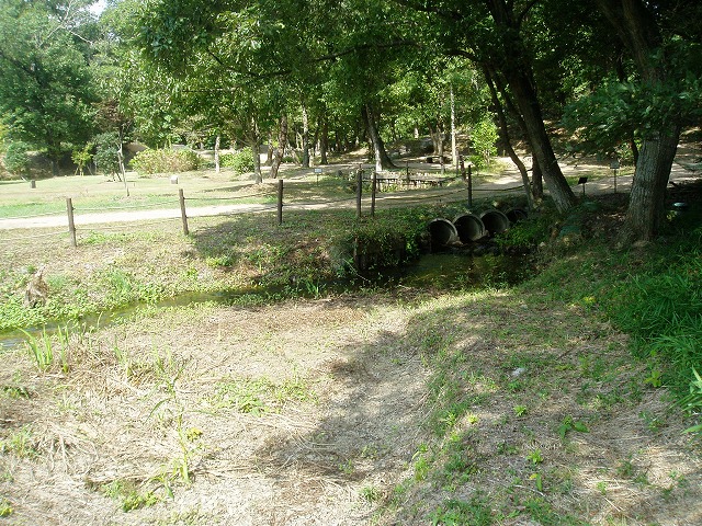c0107149_17401824.jpg