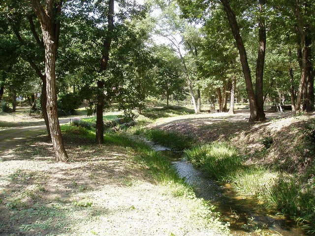 c0107149_17404834.jpg