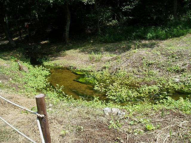 c0107149_17432613.jpg