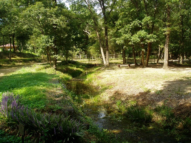 c0107149_17434611.jpg