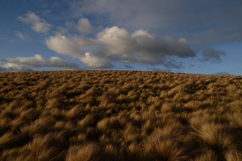 f0137354_192690.jpg