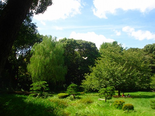 ＜200７年９月17日＞隅田川三橋と東京下町風景　_c0119160_22345010.jpg