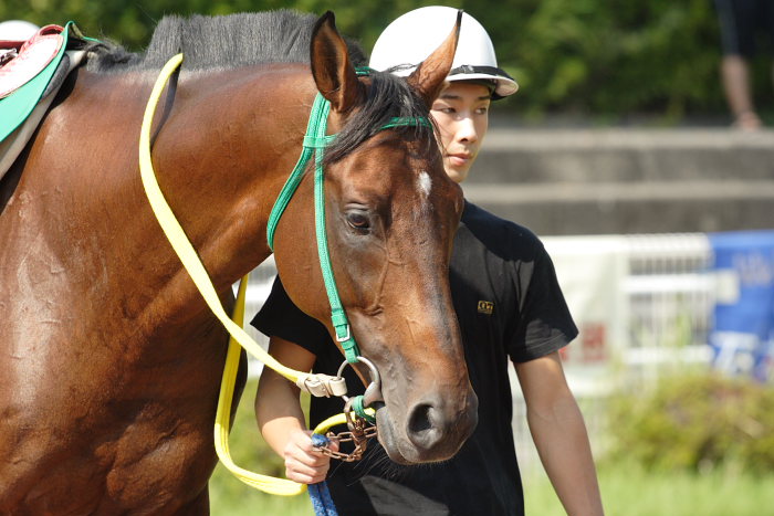 2007年9月23日(日) 高知競馬 7R 慧月2才お誕生日特別_a0077663_2042836.jpg