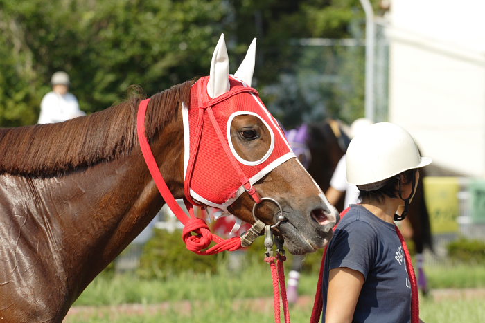 2007年9月23日(日) 高知競馬 7R 慧月2才お誕生日特別_a0077663_2045696.jpg