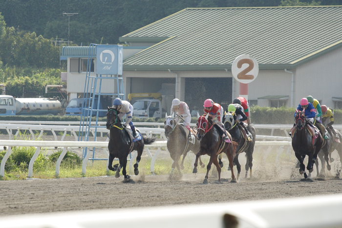 2007年9月23日（日） 高知競馬 7R 慧月2才お誕生日特別_a0077663_2054440.jpg