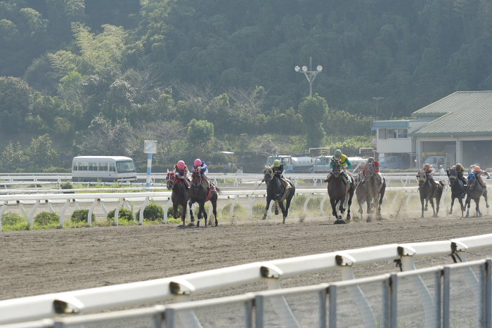 2007年9月23日（日） 高知競馬 7R 慧月2才お誕生日特別_a0077663_2055598.jpg