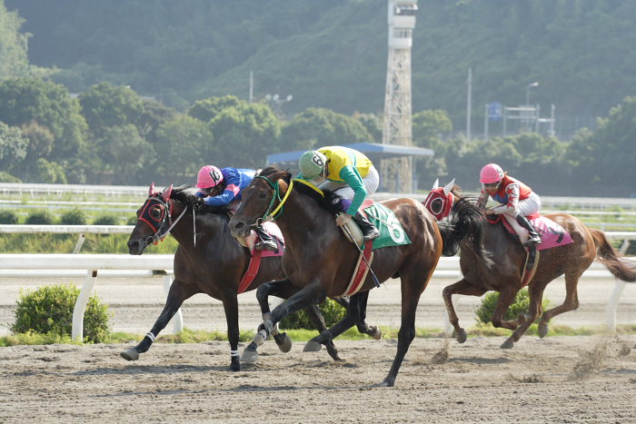 2007年9月23日（日） 高知競馬 7R 慧月2才お誕生日特別_a0077663_2062537.jpg