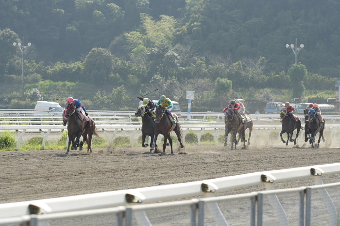 2007年9月23日（日） 高知競馬 7R 慧月2才お誕生日特別_a0077663_206440.jpg