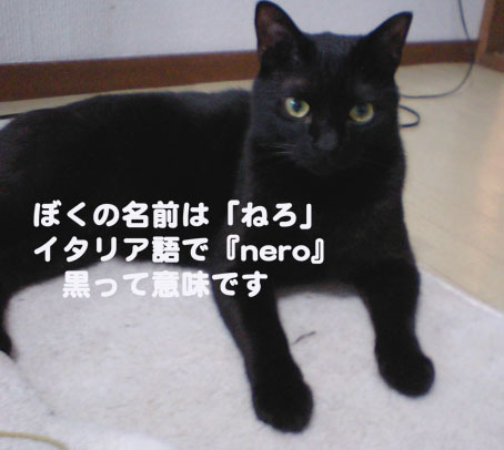 a0084070_22334022.jpg