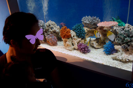d0085274_732958.jpg