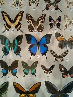 b0033175_1441628.jpg