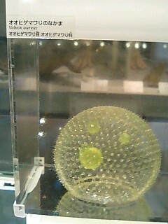 b0033175_1441674.jpg