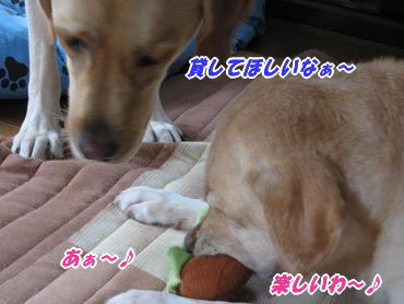 c0028792_21254350.jpg